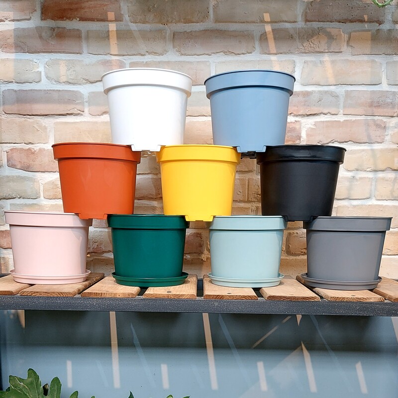 گلدان پلاستیکی پاچیرا