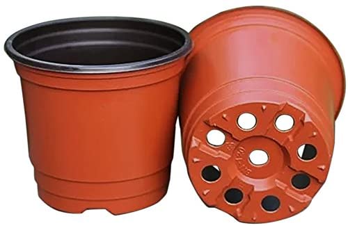 گلدان پلاستیکی گل سرخ