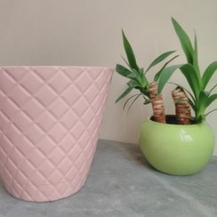 گلدان های پلاستیکی در بابل