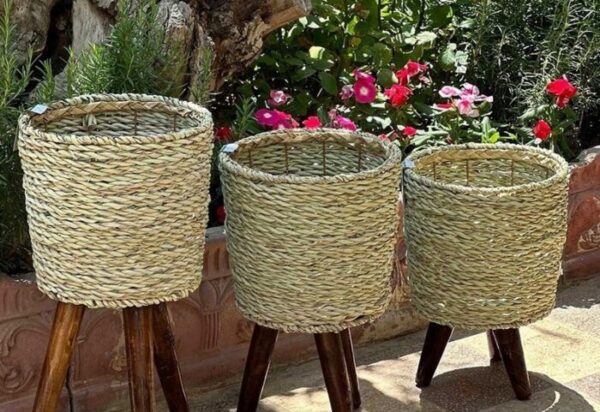 گلدان‌ های حصیری پلاستیکی