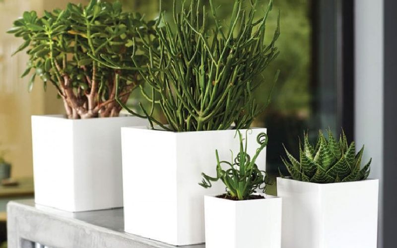 گلدان‌ های چهارگوش پلاستیکی