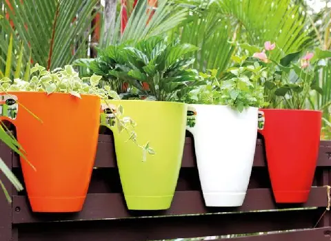 گلدان‌ های پلاستیکی در رشت