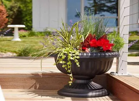 گلدان‌ های پلاستیکی بزرگ