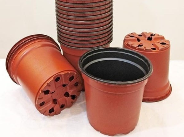 گلدان های پلاستیکی سایز ۳