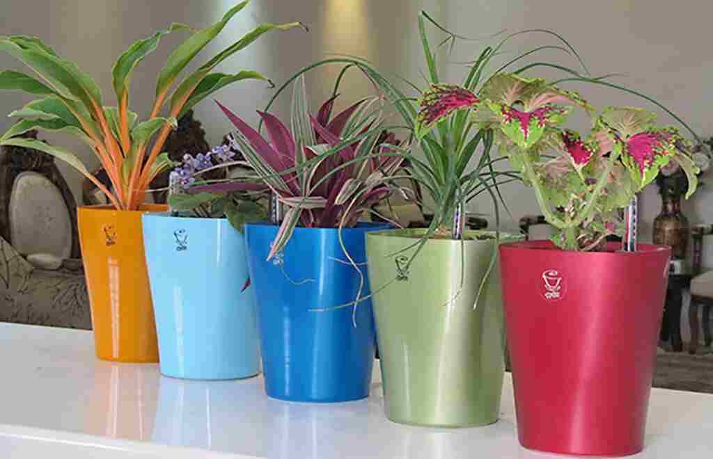 گلدان‌ های پلاستیکی در رشت