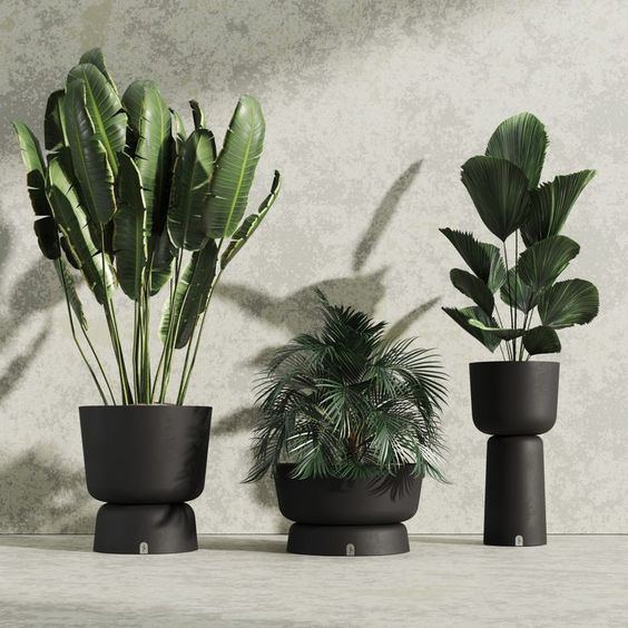 گلدان‌ های پلاستیکی لوکس