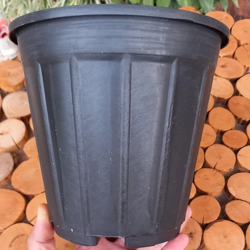 گلدان پلاستیکی سیاه در اصفهان