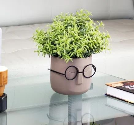گلدان های پلاستیکی عینک‌ دار