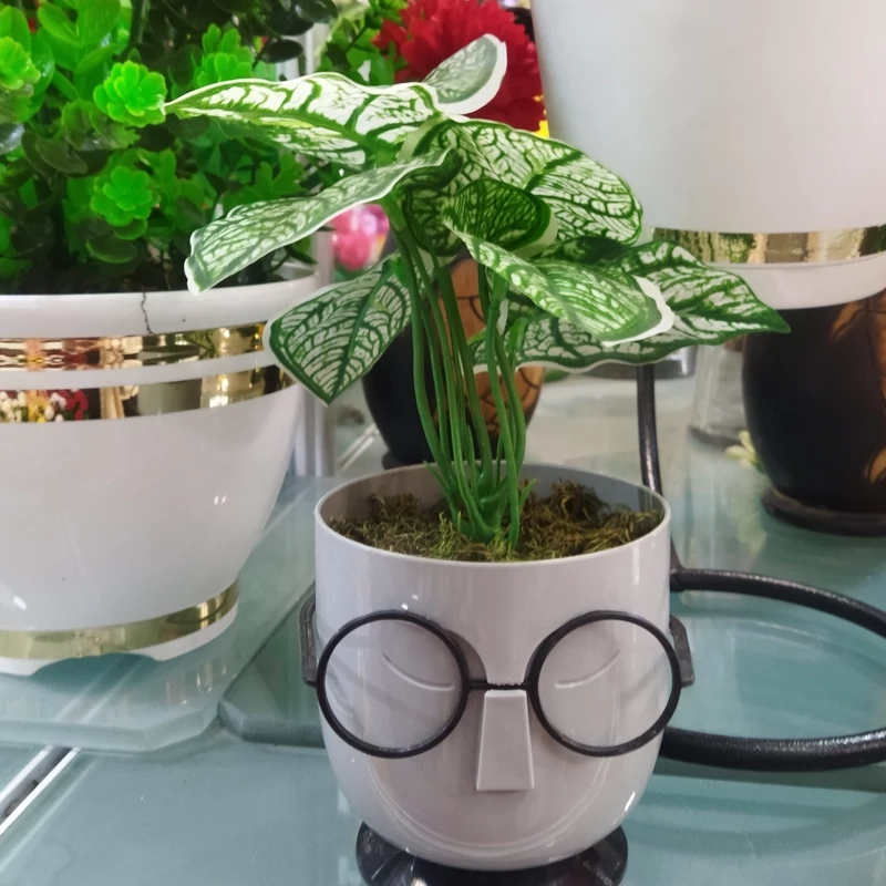 گلدان های پلاستیکی عینک‌ دار