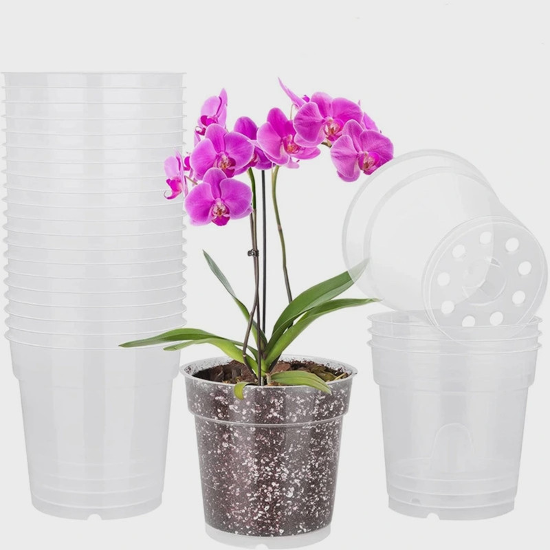 گلدان‌ های پلاستیکی شفاف دیجی کالا