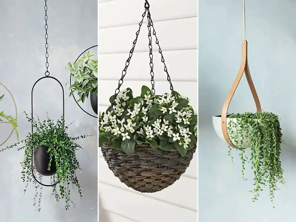 گلدان های پلاستیکی لاکچری