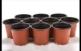 گلدان های پلاستیکی سایز ۳