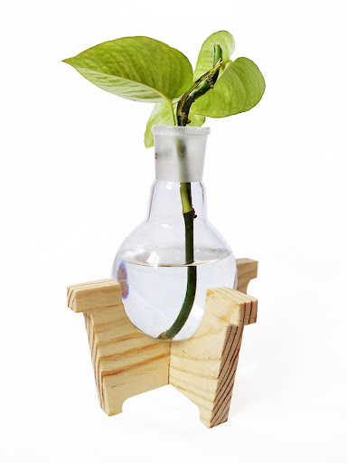 گلدان لامپی پلاستیکی