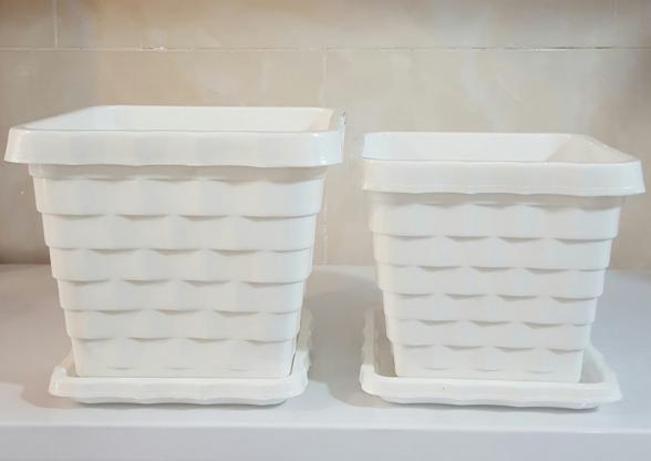 گلدان‌ های پلاستیکی سفید