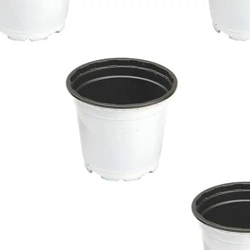 گلدان های پلاستیکی سفید