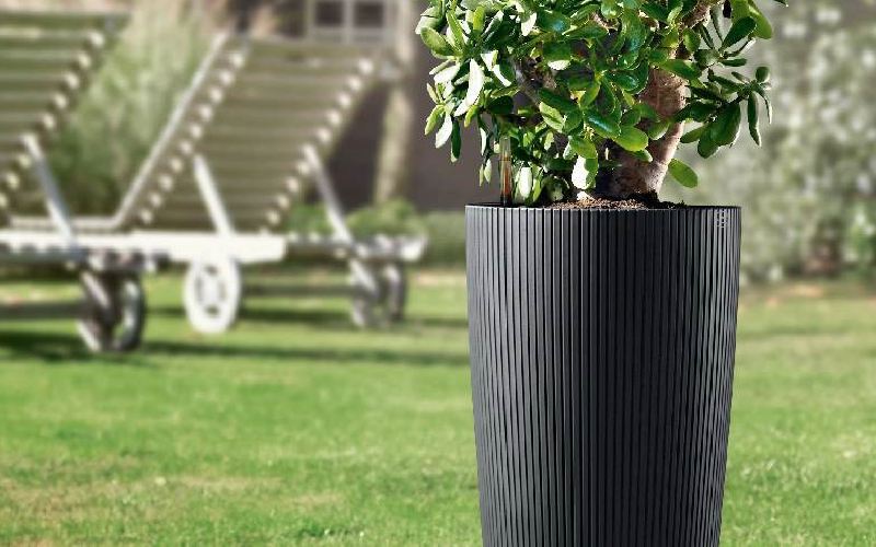 گلدان های پلاستیکی بزرگ برای باغچه