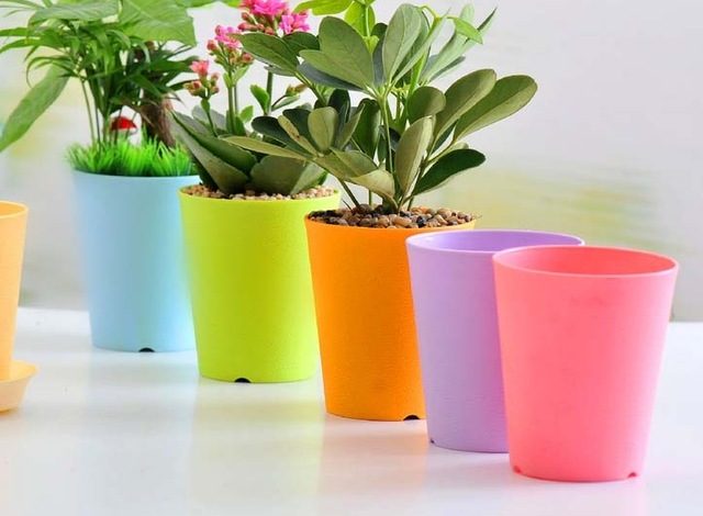 گلدان‌ های پلاستیکی دایره‌ای