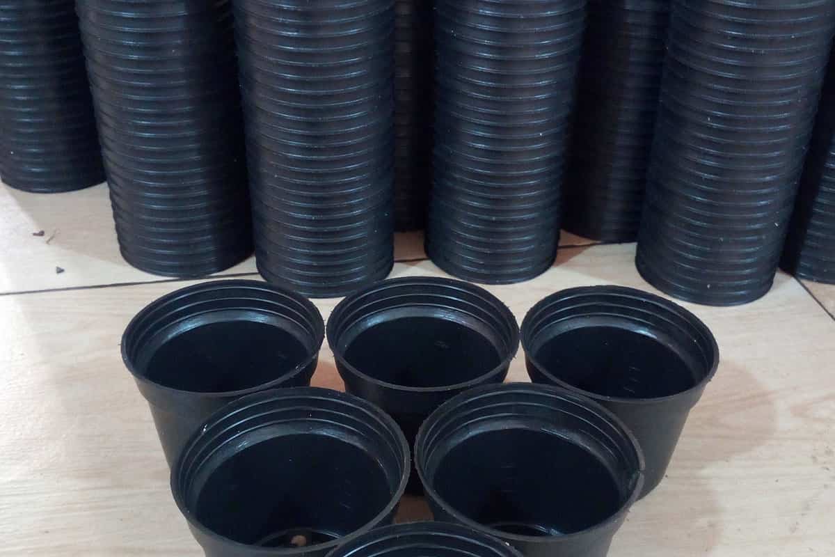 گلدان‌ های پلاستیکی مشکی