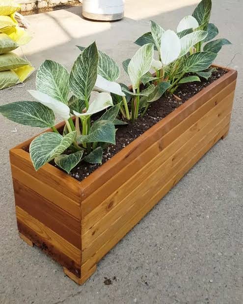 گلدان‌ های پلاستیکی طرح چوب