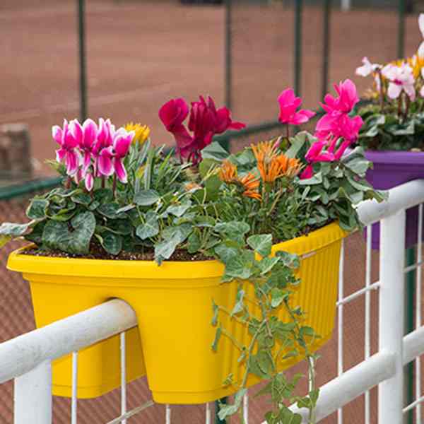 خرید گلدان پلاستیکی رنگی در قم