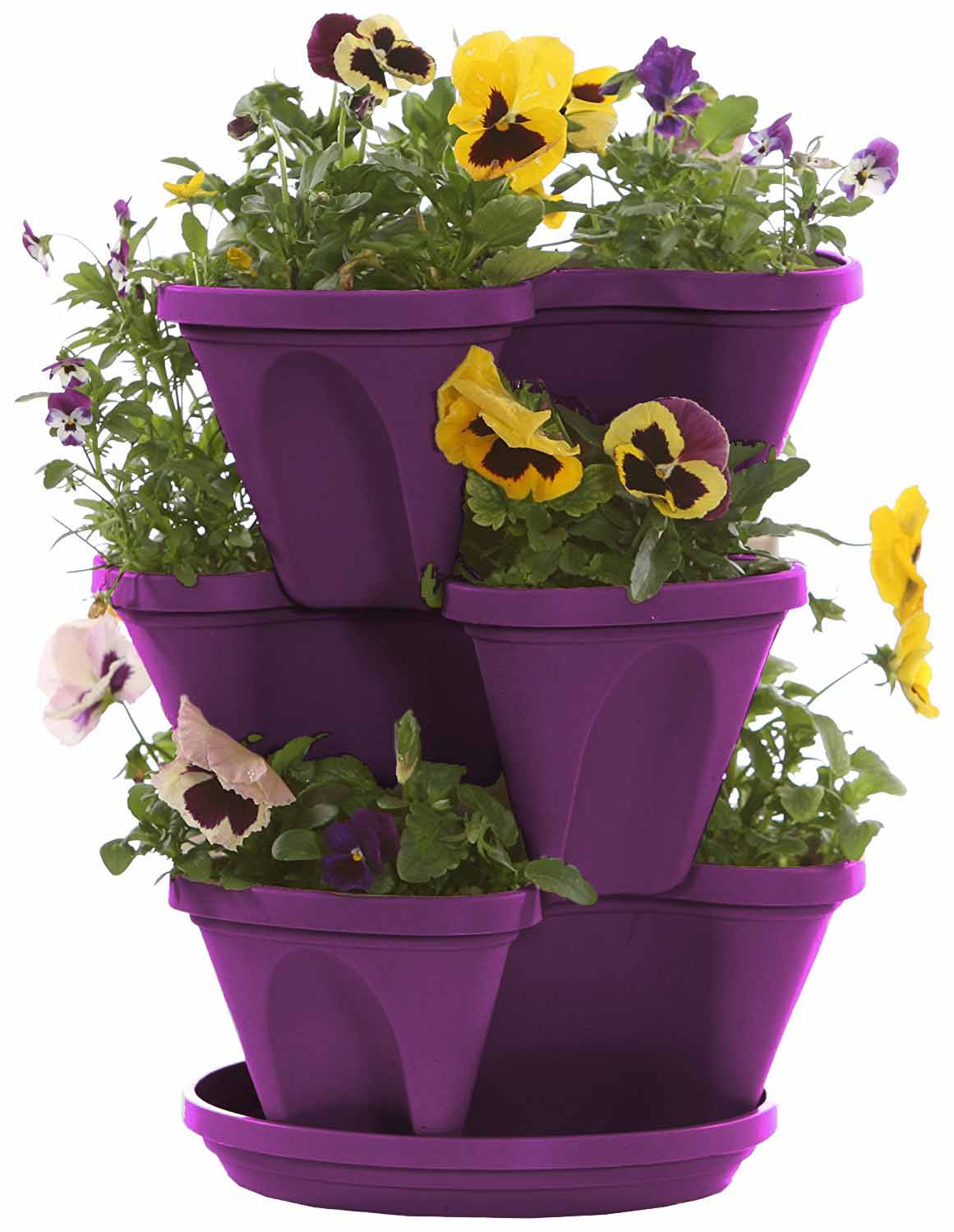 خرید گلدان پلاستیکی در همدان