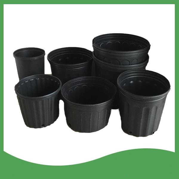 خرید گلدان پلاستیکی ارزان قیمت