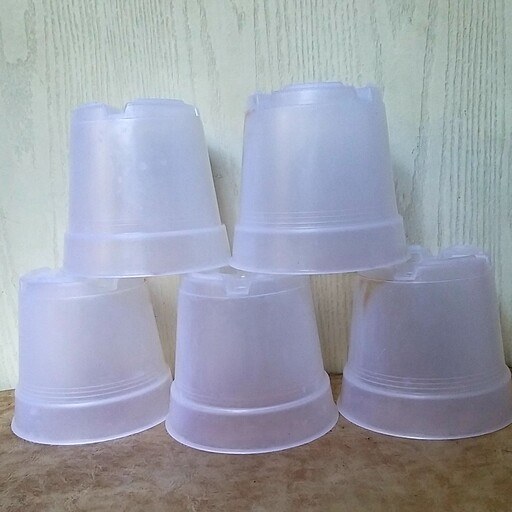 گلدان پلاستیکی شفاف