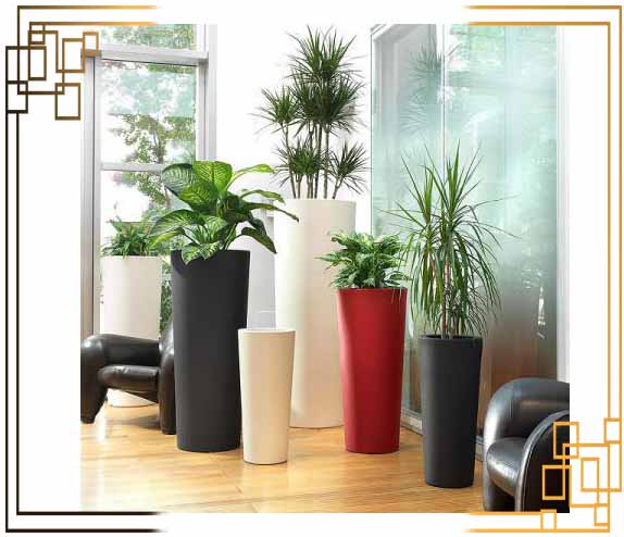 گلدان استوانهای بزرگ پلاستیکی