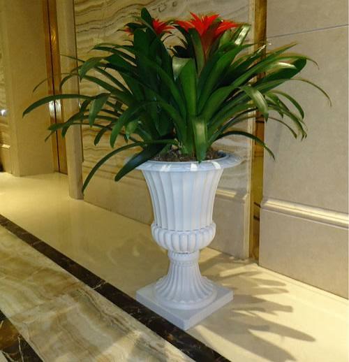 گلدان‌ های پلاستیکی بلند