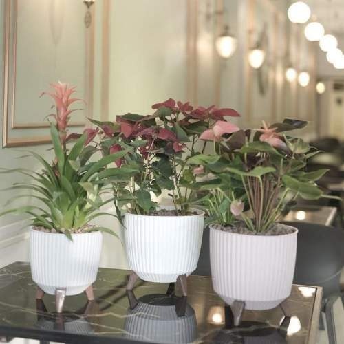 گلدان پلاستیکی پایه‌دار