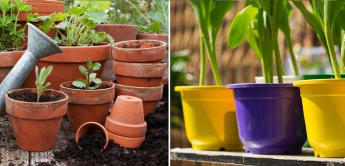 گلدان پلاستیکی