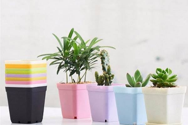 گلدان پلاستیکی طرح دار