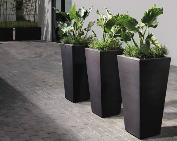 خرید گلدان پلاستیکی مشکی