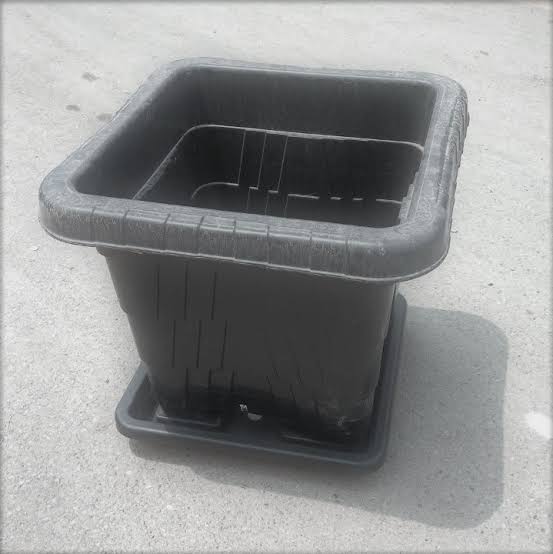 گلدان پلاستیکی مشکی جعبه‌ای